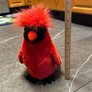 Ty Cardinal beanie baby